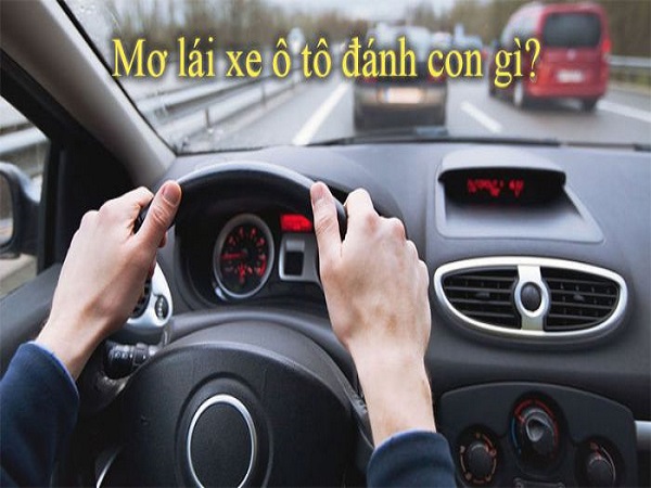 Mơ thấy lái xe ô tô đánh con gì?
