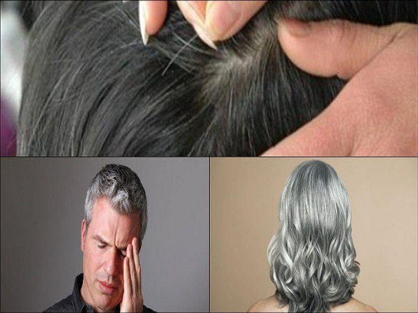 Nằm mơ thấy tóc bạc đánh con gì?