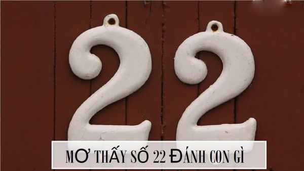 Mơ thấy số 22 đánh con gì