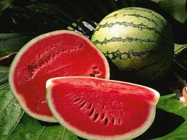 Nằm mơ thấy quả dưa hấu đánh con gì có ý nghĩa gì đặc biệt