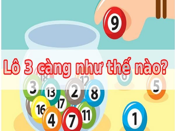 Lô 3 càng là gì