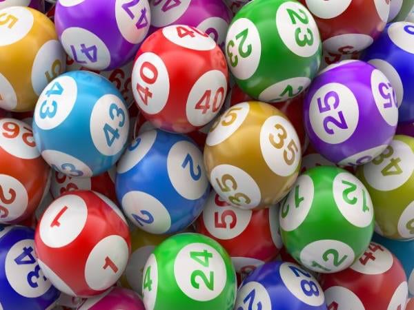 Những lưu ý và mẹo nuôi bạch thủ cho 1 ngày