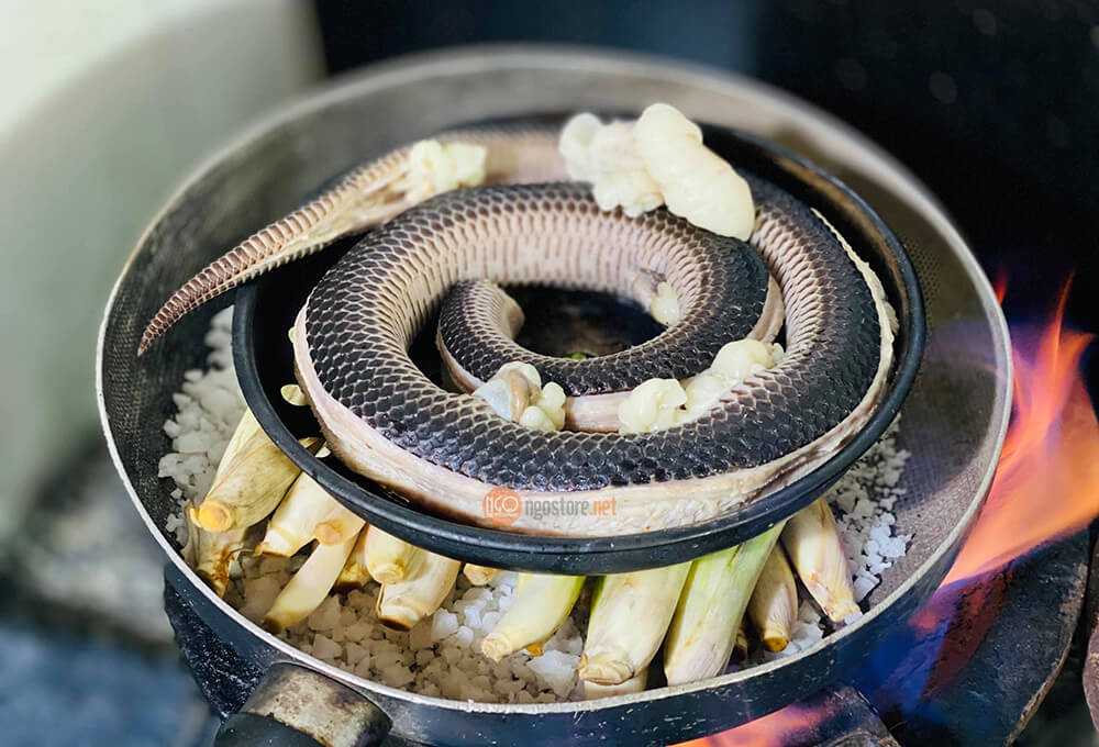 Nằm mơ thấy ăn thịt rắn đánh con gì có ý nghĩa gì may mắn Nằm mơ thấy ăn thịt rắn đánh con gì có ý nghĩa gì may mắn