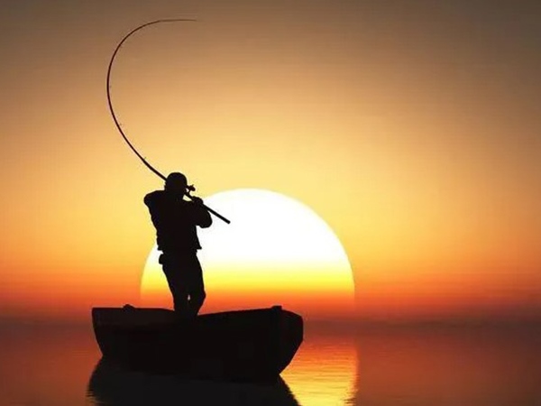 Nằm mơ đi câu cá đánh con gì chắc ăn, là điềm báo gì?