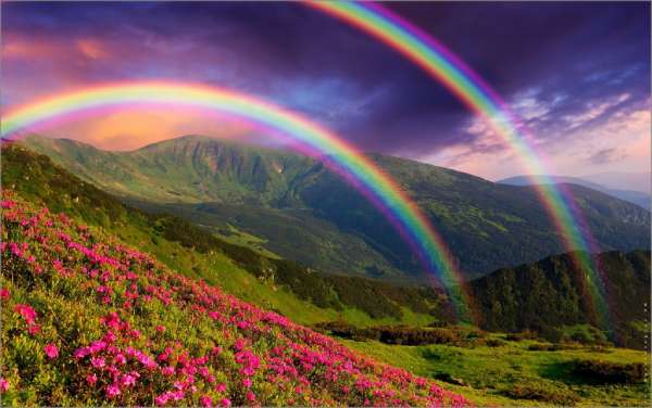 mơ thấy cầu vồng