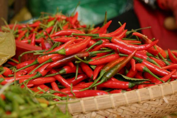 Mơ thấy quả ớt (1)