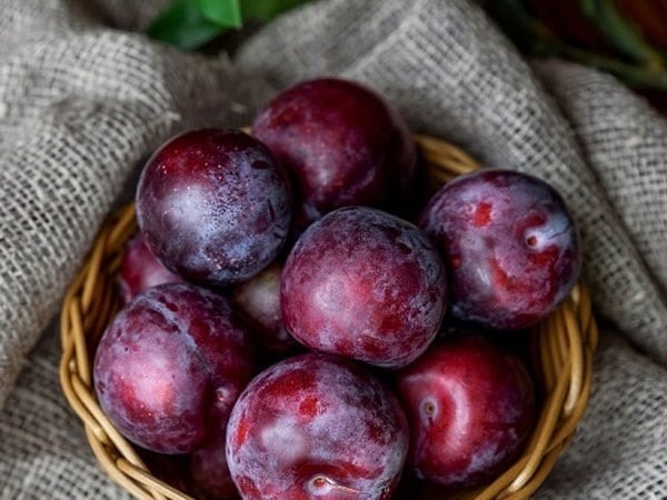 Phân giải ý nghĩa giấc mơ thấy quả mận Phân giải ý nghĩa giấc mơ thấy quả mận d