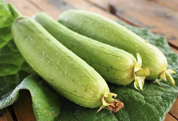 mơ thấy quả mướp