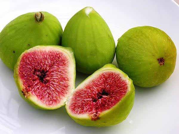 Nằm mơ thấy quả sung đánh con gì ăn chắc