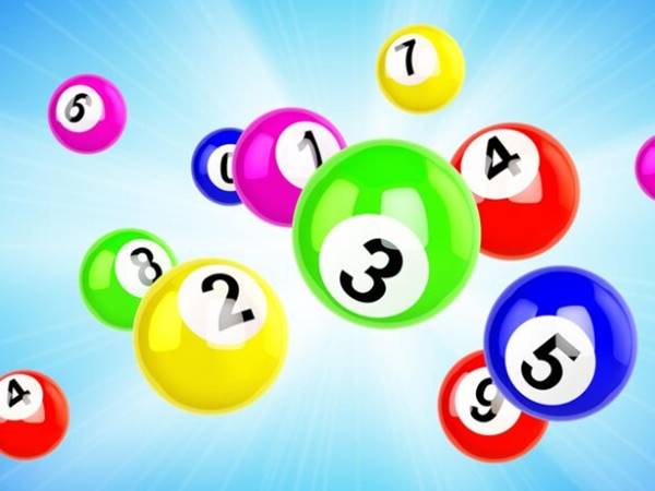 thống kê hình quả trám là gì? Giải đáp thống kê hình quả trám là gì? Giải đáp