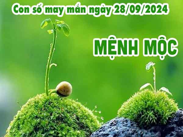 Phân tích con số may mắn người mệnh Mộc ngày 28/9/2024 thứ 7 hôm nay
