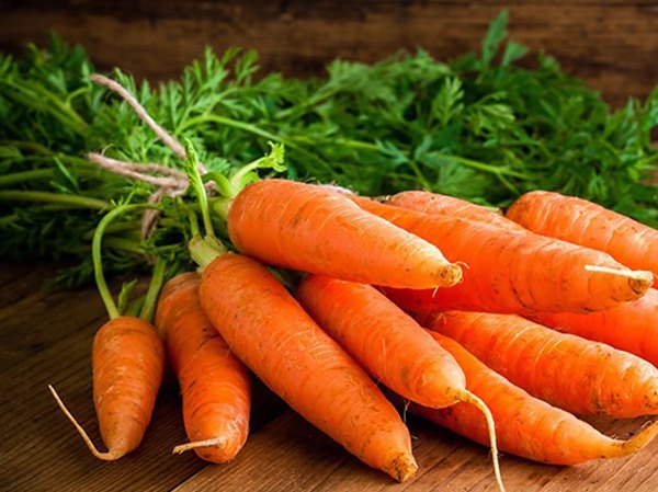 thấy củ cà rốt