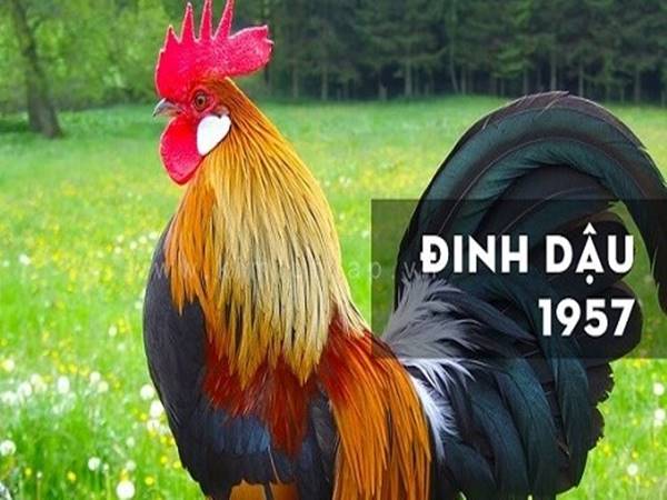Con số may mắn tuổi Đinh Dậu dễ trúng thưởng nhất