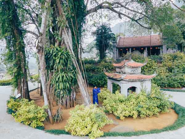 Ý nghĩa của việc nhìn thấy cây đa