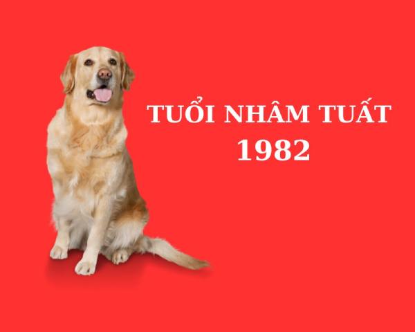 Tăng tài lộc với cặp số đẹp tuổi Nhâm Tuất hôm nay