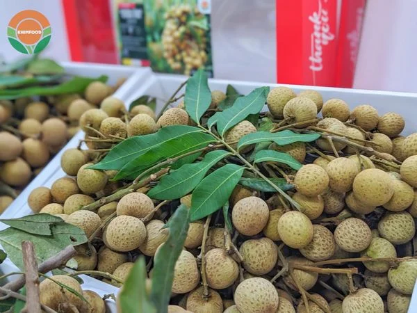 Trông thấy quả nhãn lồng có đem lại điềm báo tích cực?