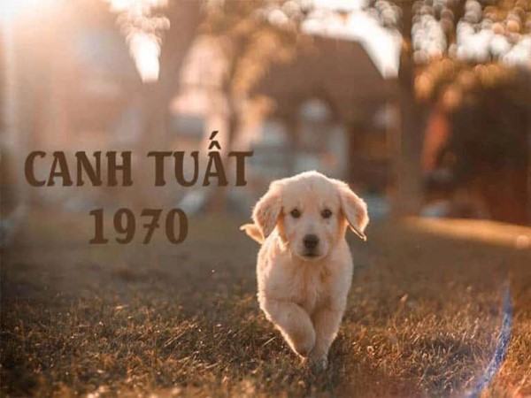 Chọn số phong thủy giúp người Canh Tuất 1970 thăng tiến