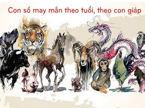 Con số may mắn ngày 13 tháng 2 năm 2026 thứ 6 12 con giáp