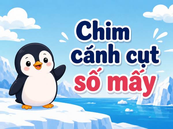 Phân tích ý nghĩa chim cánh cụt là số mấy hút may mắn?